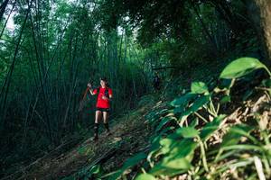 BIB: 
                            <button type="button" onclick="openModal(28123776)" class="btn btn-primary btn-sm float-right btn-popup" data-toggle="modal" data-target=".modal-high-quality">
                        <i class="fas fa-shopping-cart"></i> Add to Cart
                    </button>
                                            <button type="button" onclick="isThisMe(28123776, true)" class="btn btn-success btn-sm float-right btn-popup btn-isme hidden" data-toggle="tooltip" data-placement="bottom" title="นี่คือรูปของคุณใช่ไหม คลิกที่นี่เพื่อเอาเข้าอัลบั้ม">
                        <i class="fas fa-plus"></i> Add to album
                    </button>
                    <button type="button" onclick="isThisMe(28123776, false)" class="btn btn-warning btn-sm float-right btn-popup btn-isnotme hidden">
                        <i class="fas fa-ban"></i> Remove from album
                    </button>